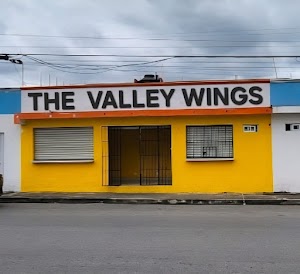 THE VALLEY WINGS place picture